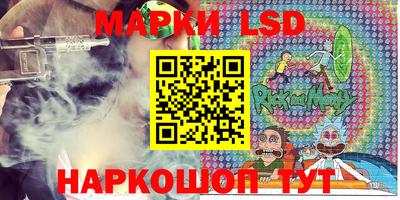 СК Новозыбков