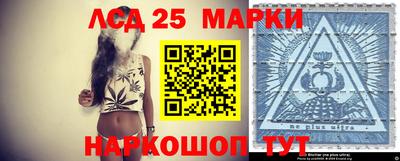 СК Новозыбков