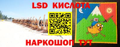 индика Новодвинск