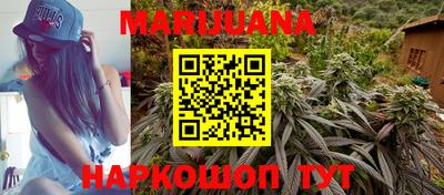 индика Новодвинск