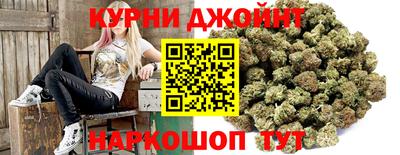 индика Новодвинск