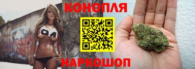 индика Новодвинск