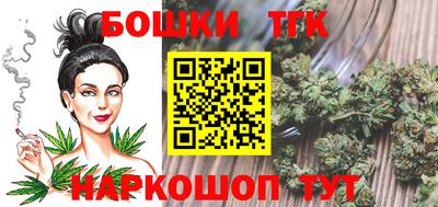 индика Новодвинск