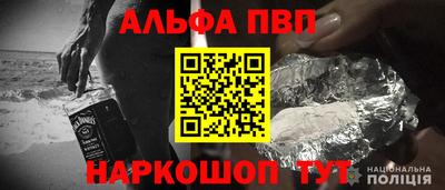 СК Новозыбков