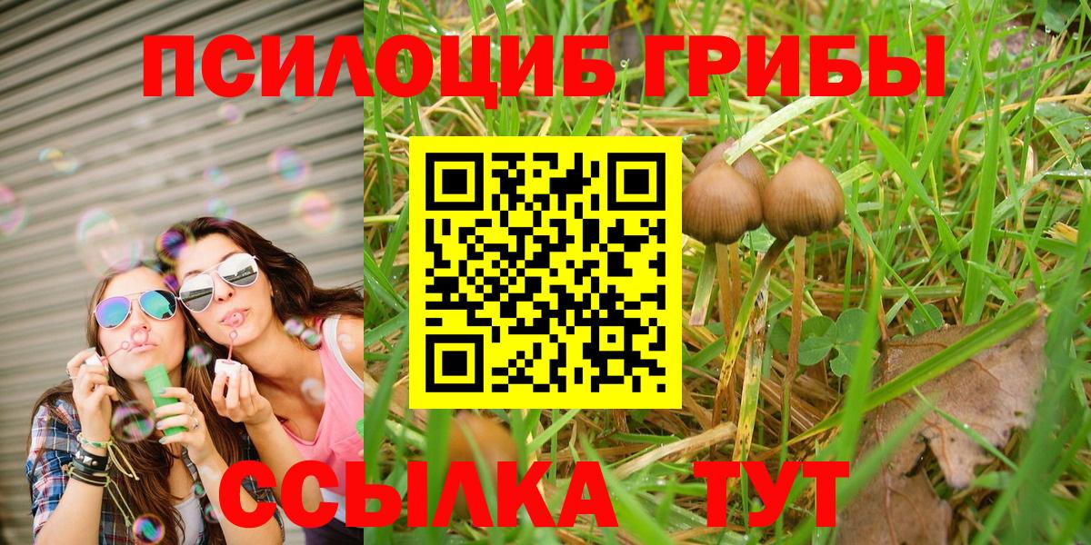 Псилоцибиновые грибы Magic Shrooms  Вход с VPN  Алейск 